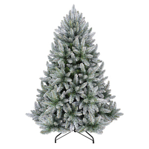 5ft Frosted Silver Fir