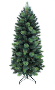 5ft Slim Parana Pine